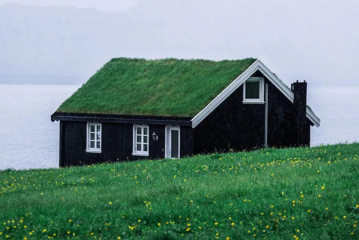 10 Eco-Friendly Factors to Consider When Getting a New Roof for Your House | EcoBlog | Zero Waste Shop Friendly Turtle