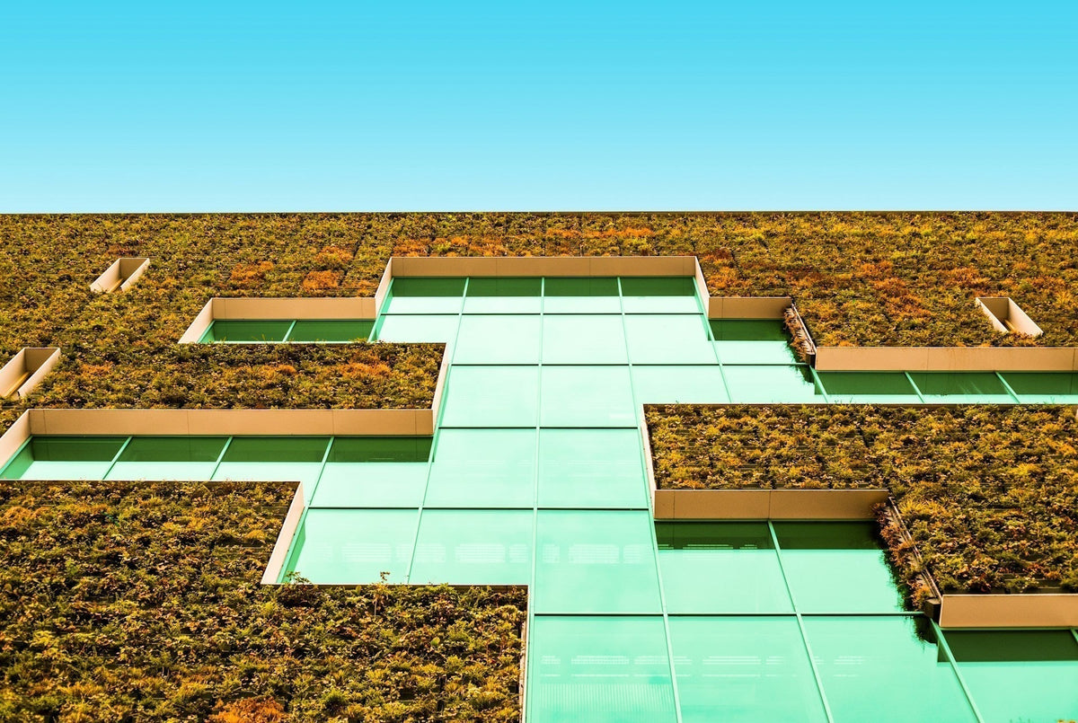 6 Reasons to Choose a Green Roof | EcoBlog