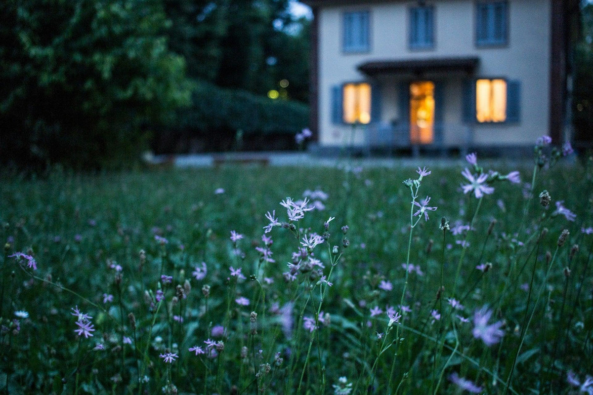 8 Eco-Friendly Tips for Designing a Functional Home | EcoBlog