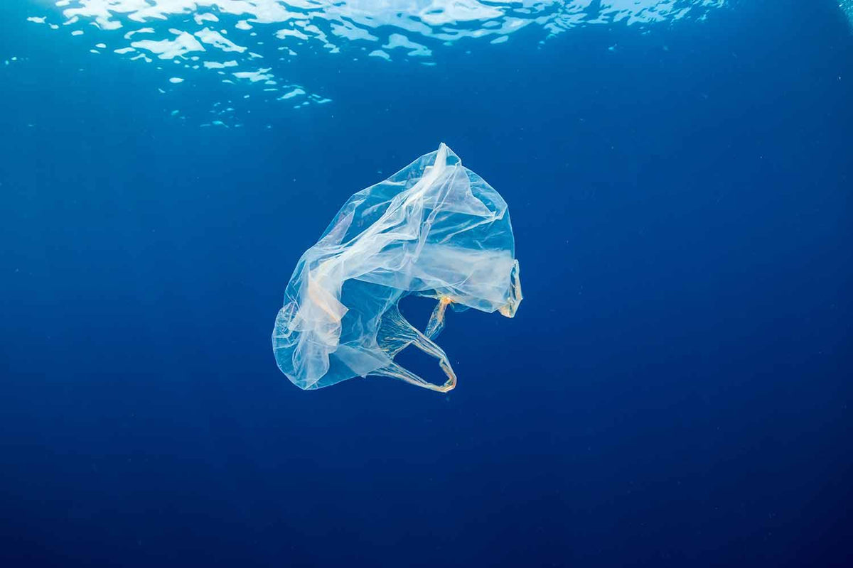 ocean conservation in new environment bill