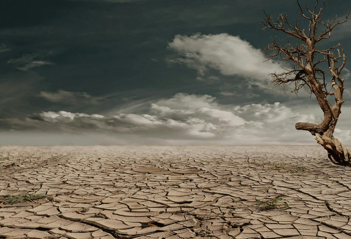 How Climate Change Affects Mental Health