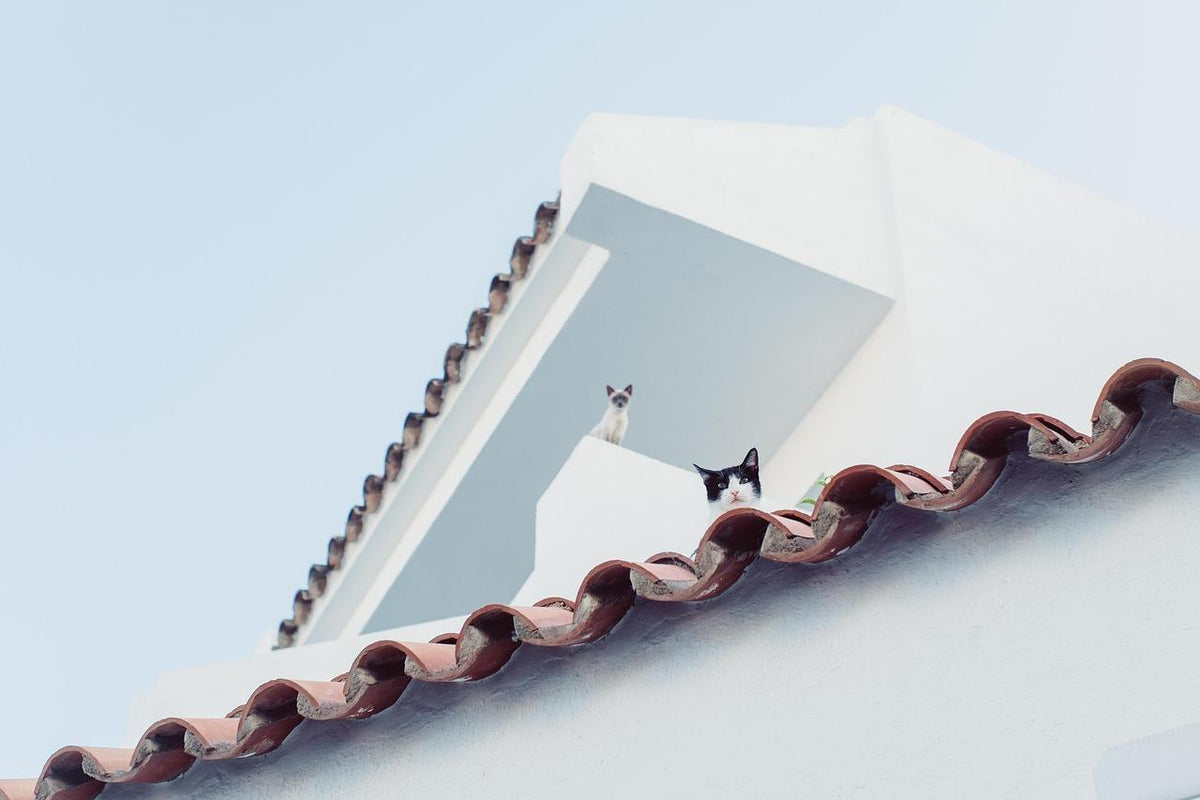 How Roof Maintenance Supports a More Sustainable Home
