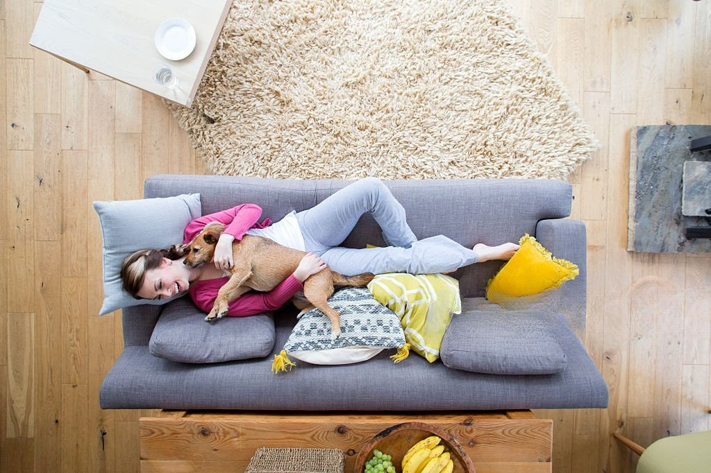 Eco-Friendly Sofa Beds: What to Look for in Compact Homes