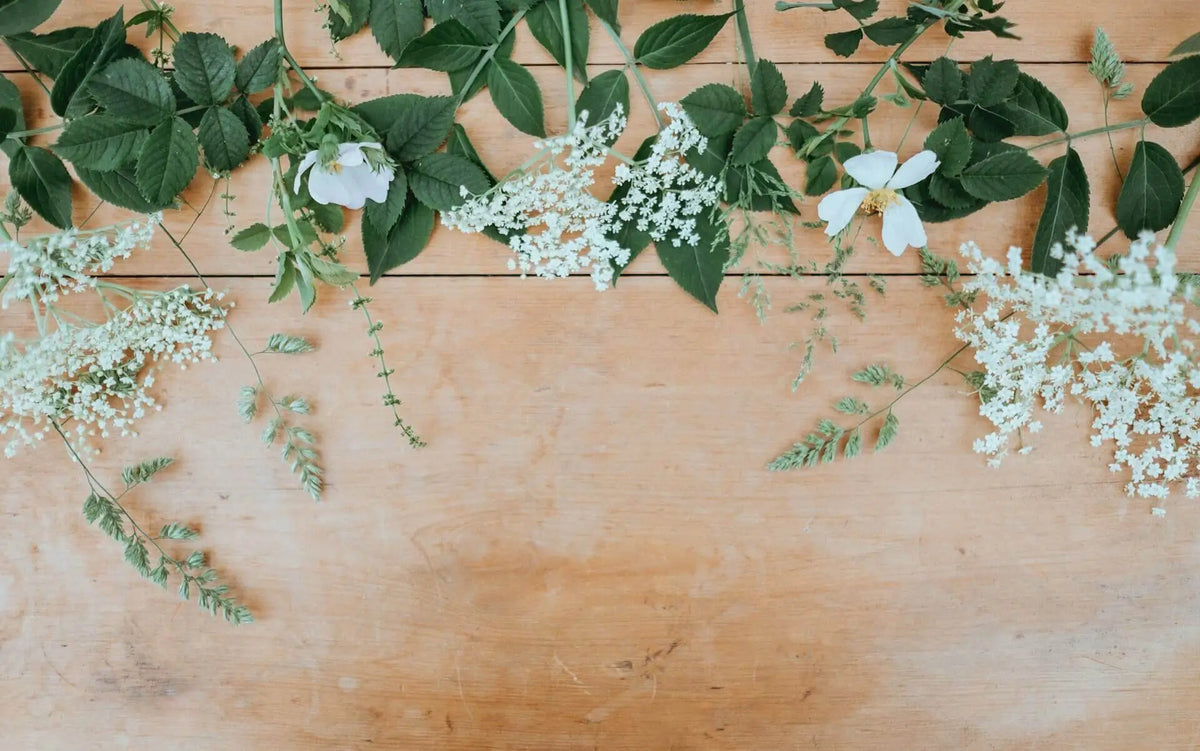 Green Gifts: The Beauty of Sustainable Floral Arrangements