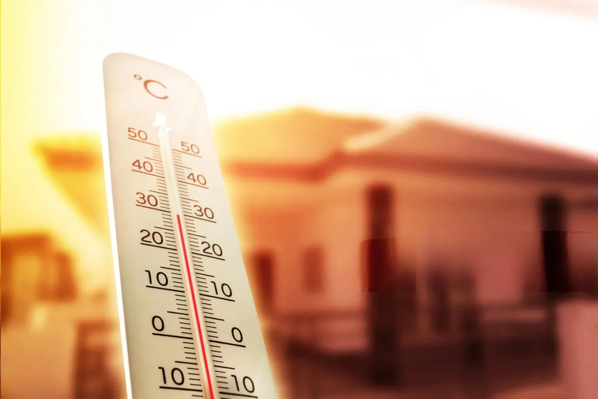 6 Ways to Keep Your Home Cool Sustainably | EcoBlog