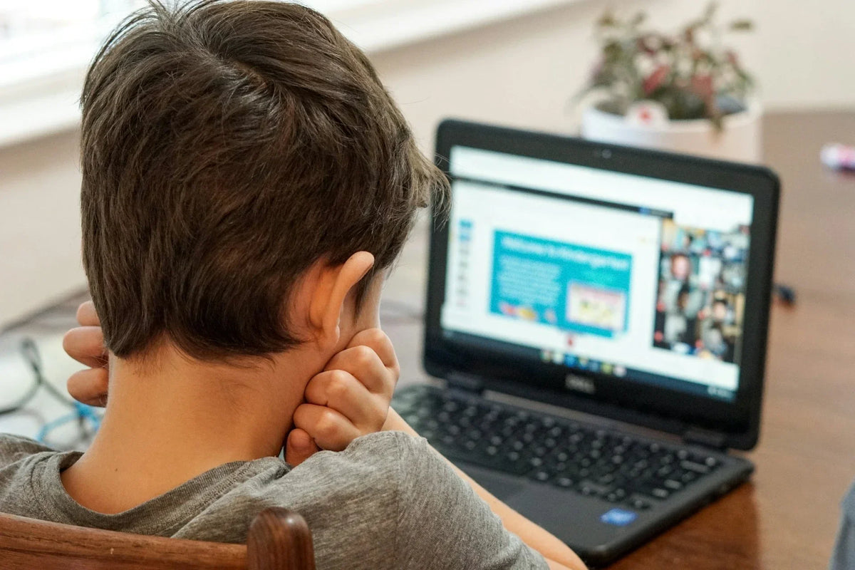 How Online Learning Supports Sustainable Education | EcoBlog