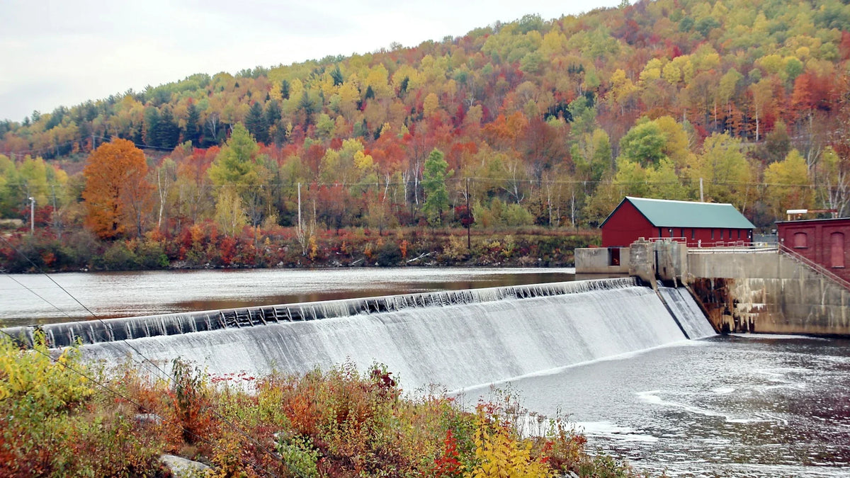 How to Provide Environmental Protection With Sustainable Forest and Land Management