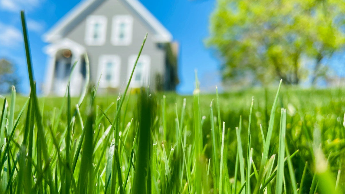Planning Sustainable Improvements for Your Home | EcoBlog