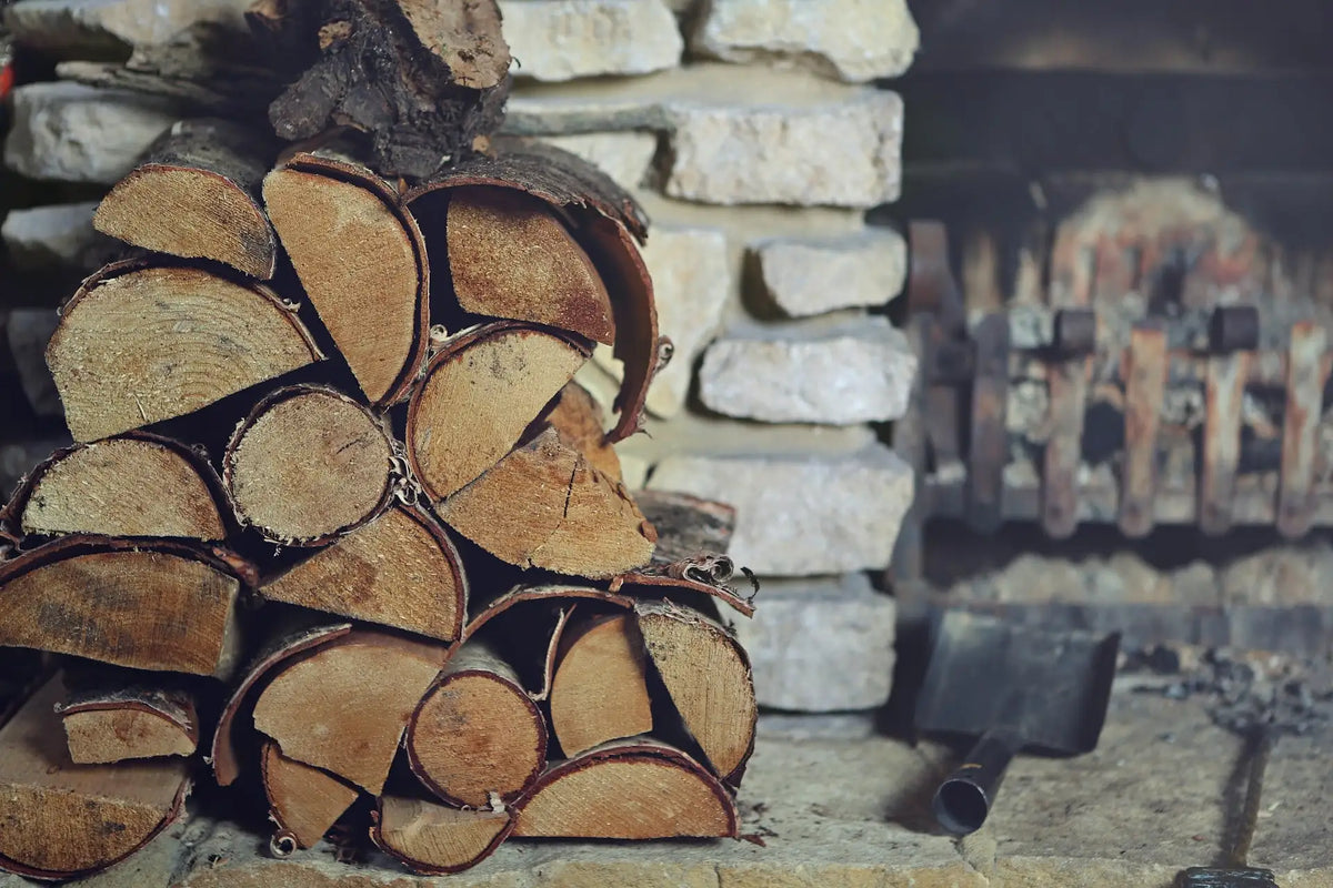 Stylish Decor Tips to Keep Your Home Warm and Cozy | EcoBlog