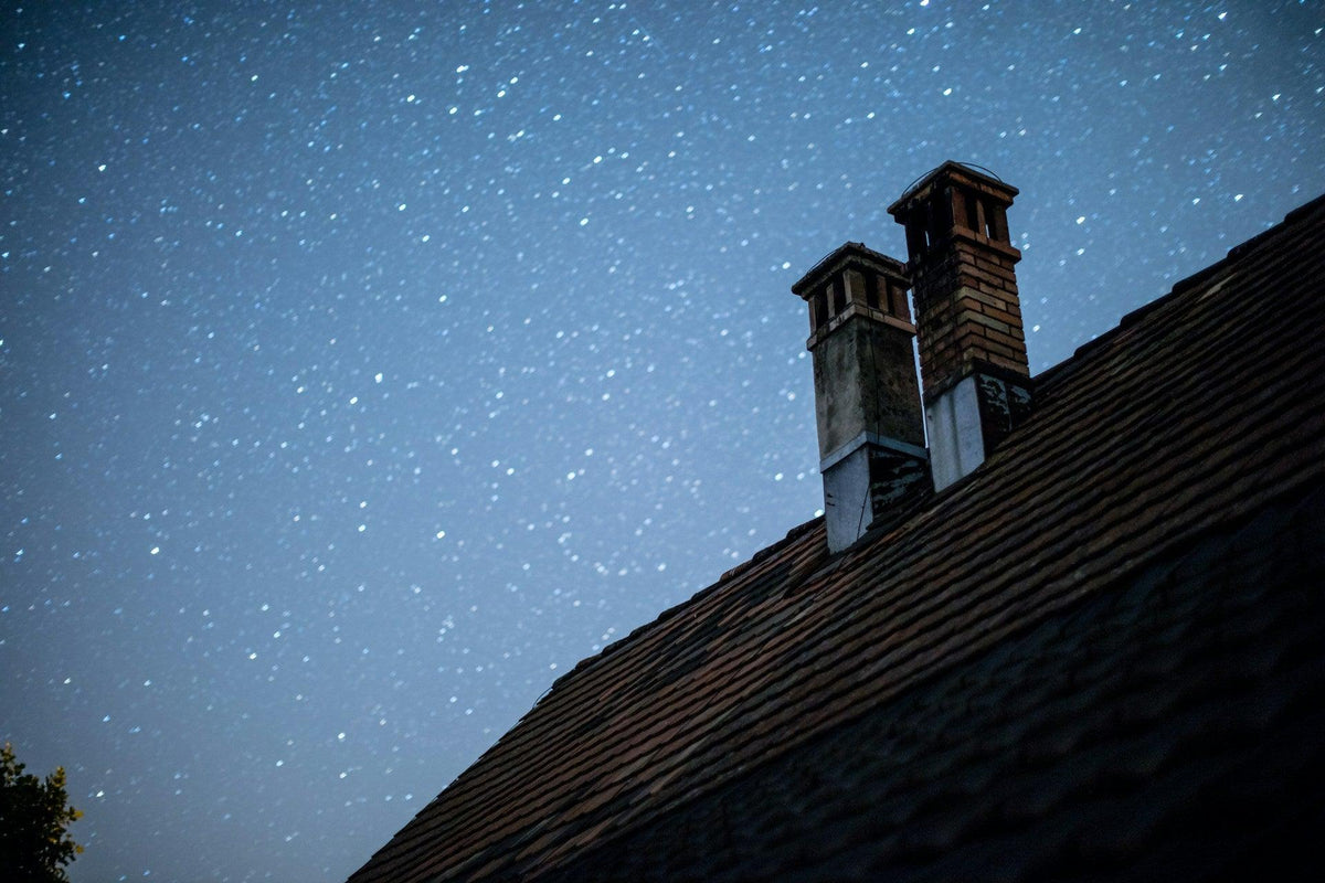 The Critical Importance of Sustainable Chimney Inspections - The Friendly Turtle