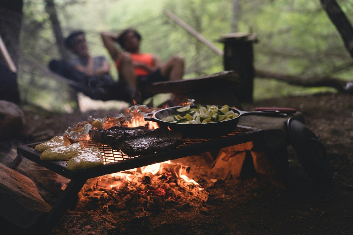 Eco-Friendly BBQ Grills for Family Beginners | EcoBlog