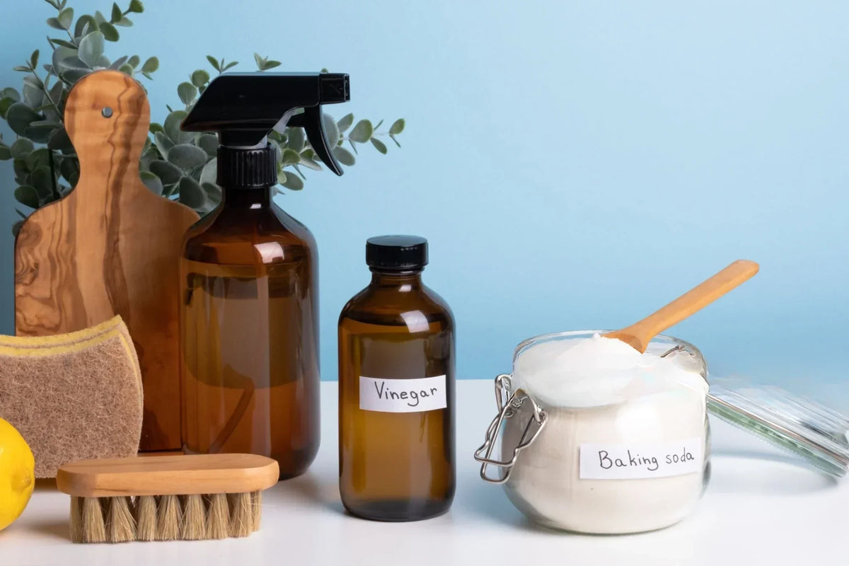 Sustainable House Cleaning Eco-Friendly Tips EcoBlog