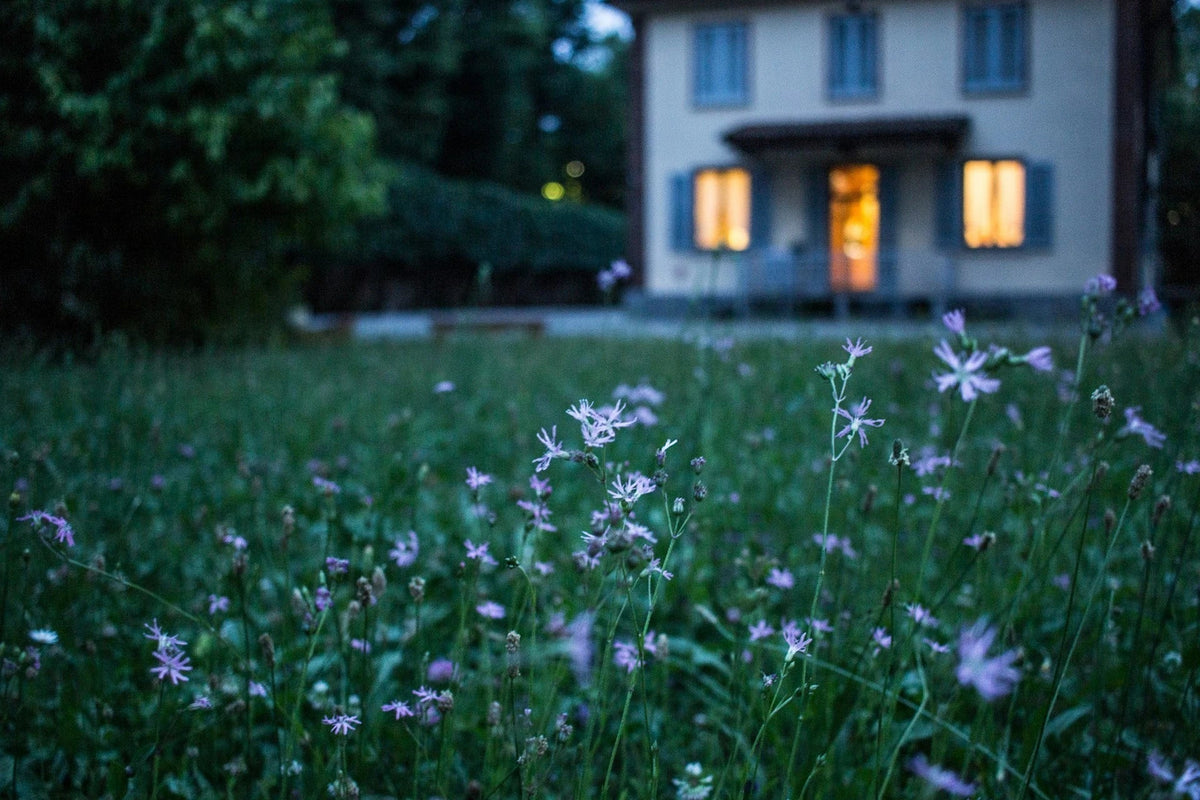 Sustainable Investments: Transform Home into an Eco Haven | EcoBlog