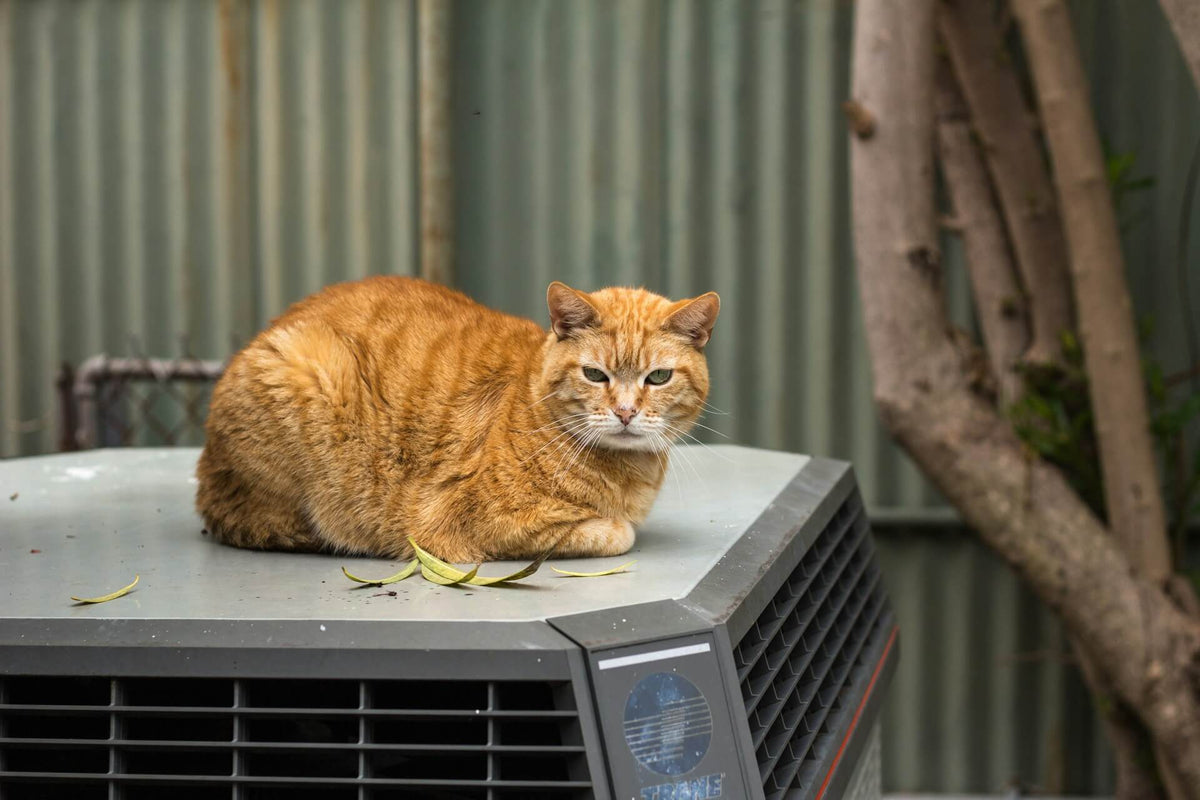 Sustainable Tips for Reducing Air Conditioner Energy Usage