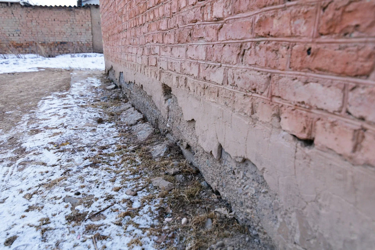 Sustainable Water Damage Prevention for Your Home | EcoBlog