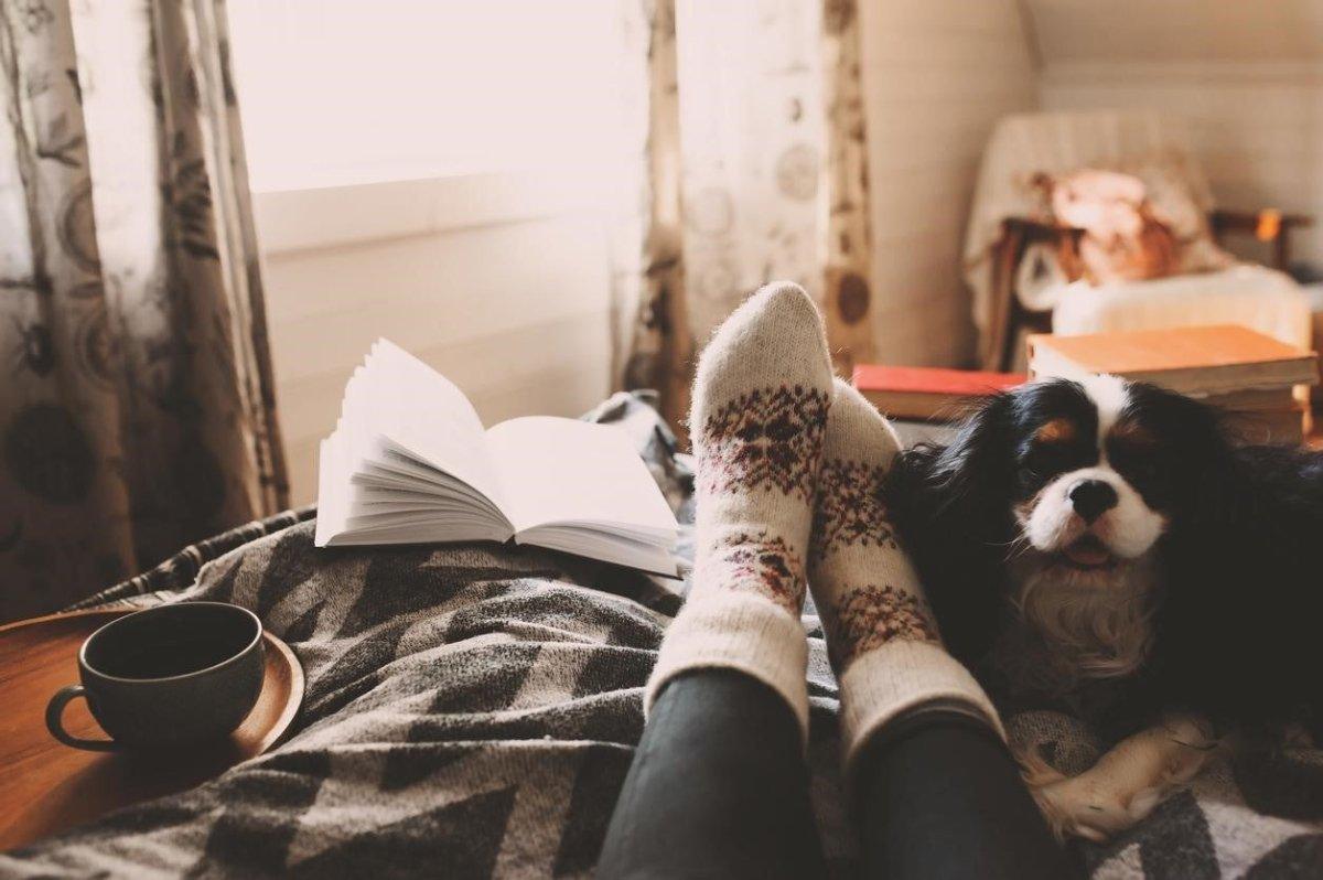 Sustainable Winter: 10 Eco-Friendly Tips to Heat Your Home This Year - The Friendly Turtle