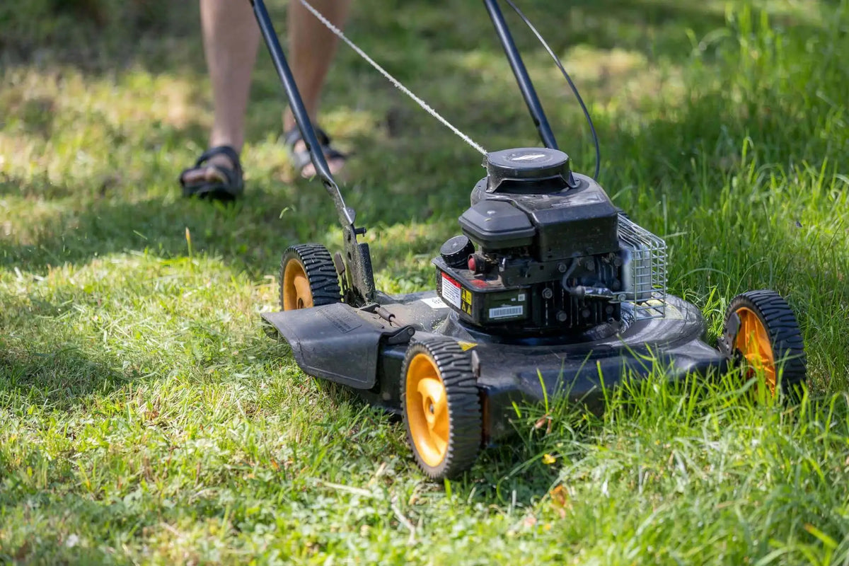 The Essential Yard Cleanup Equipment You Need for a Pristine Lawn | EcoBlog