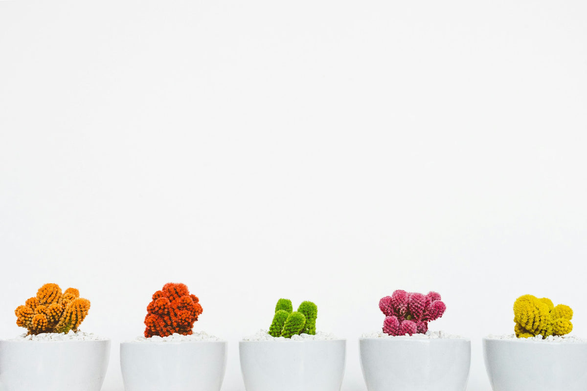 The Power of Minimalism Decorating in a Modern Way | EcoBlog