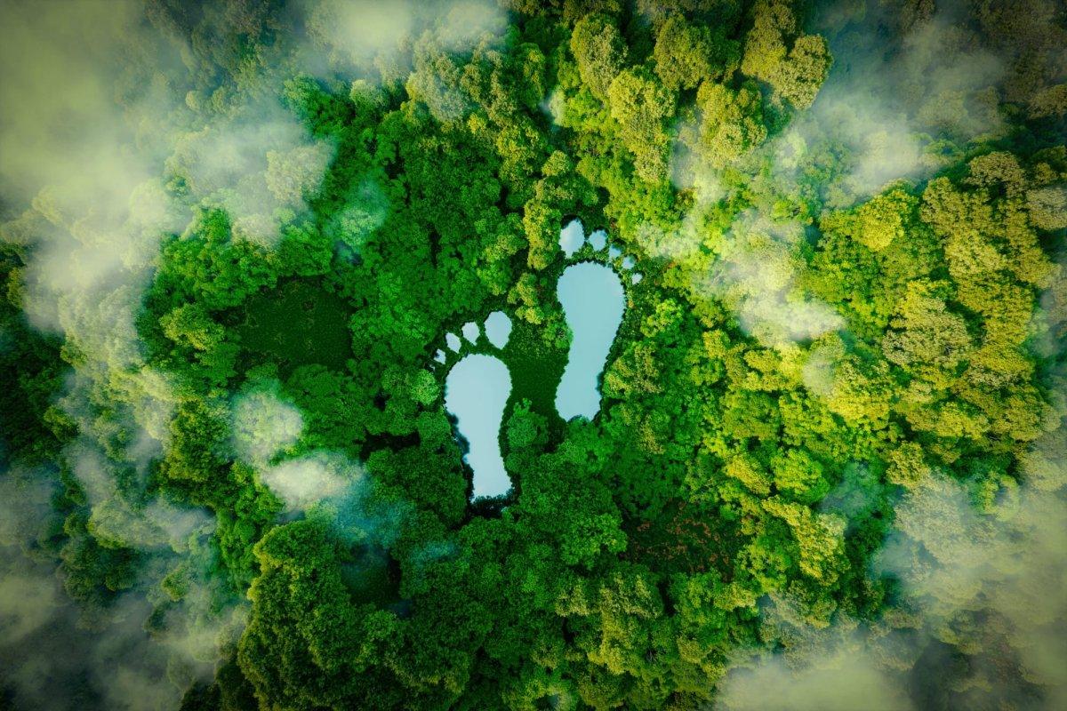 Reduce Your Carbon Footprint While Traveling This Summer