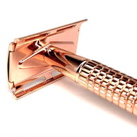 0BBE6C5A-5FFD-44F4-937E-11035A7BF40E - The Friendly Turtle