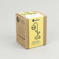 focus pocus room fragrance kit inside packaging