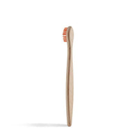 back of a kids beechwood toothbrush
