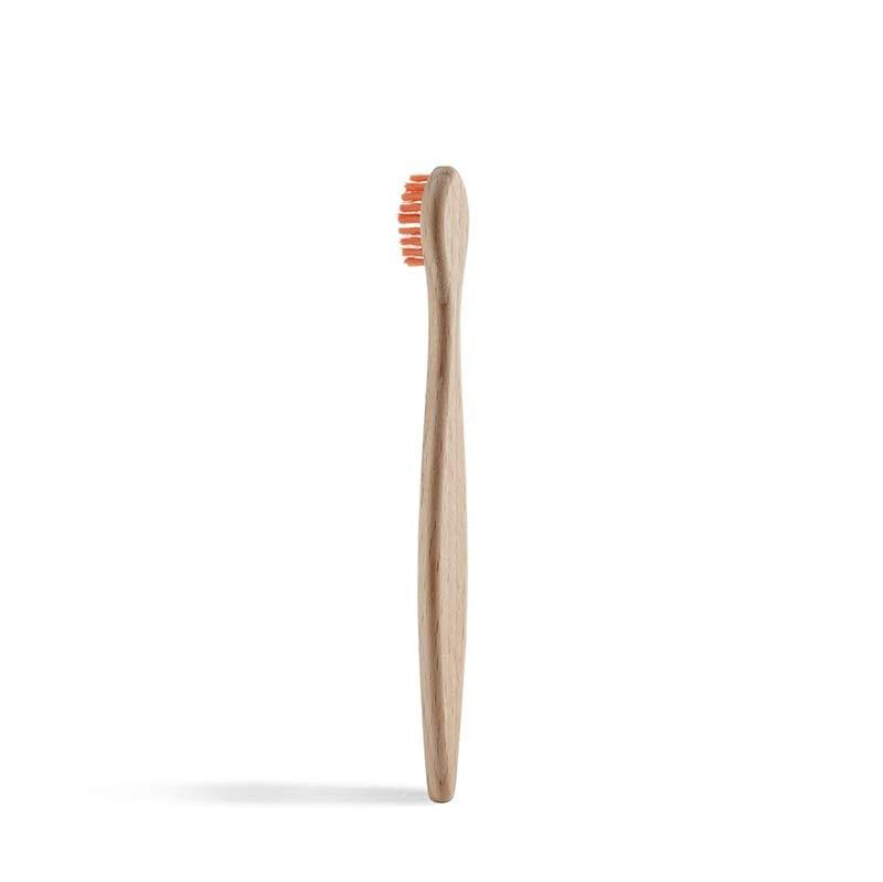 back of a kids beechwood toothbrush