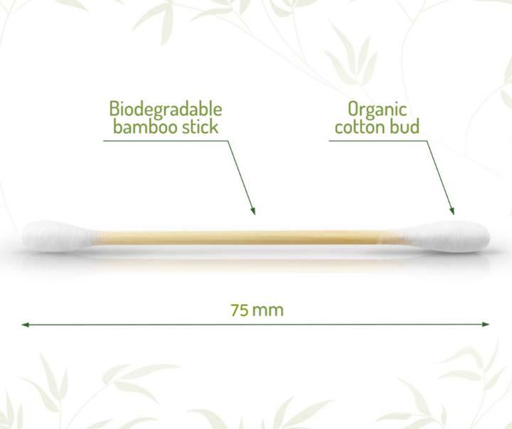 biodegradable cotton buds infographic