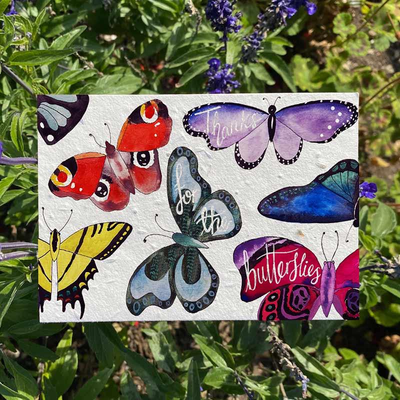 thanks for the butterflies card