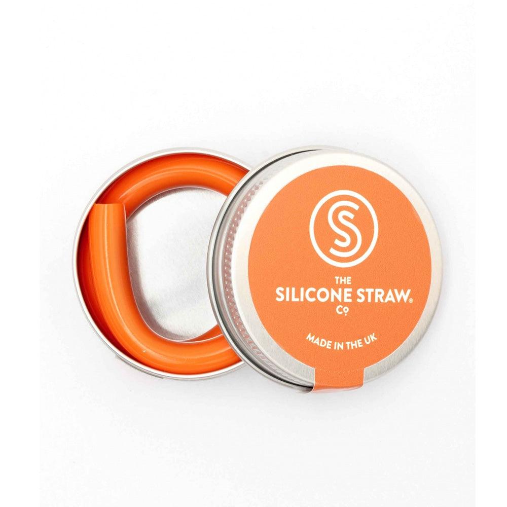Reusable Silicone Straw in Travel Tin - The Friendly Turtle
