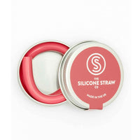 Reusable Silicone Straw in Travel Tin - The Friendly Turtle