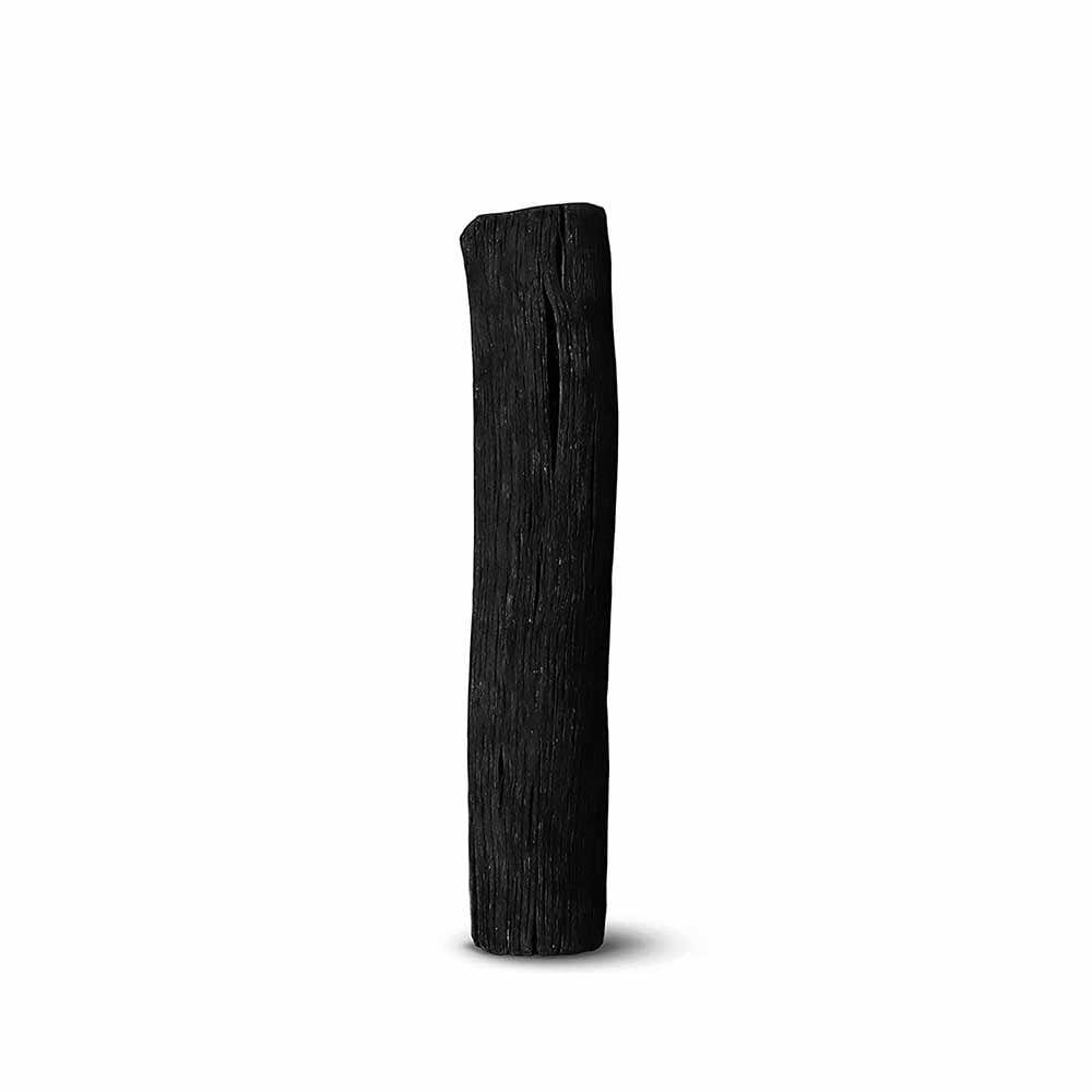 charcoal filter single stick