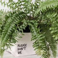 cotton plant pot holder please dont die print