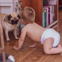 baby with a dog wearing a little lamb bamboo nappy