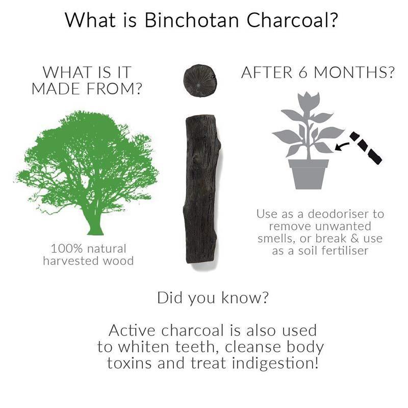 charcoal water filter for glass carafe