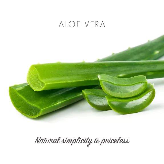 Aloe Vera Vegan Soap Bar - The Friendly Turtle