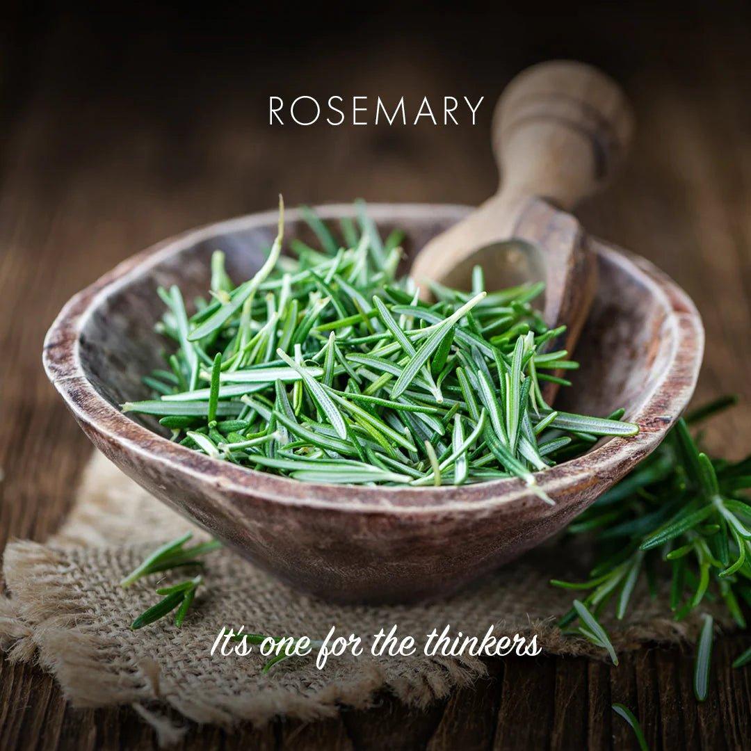 Friendly Rosemary Natural Soap Bar - The Friendly Turtle