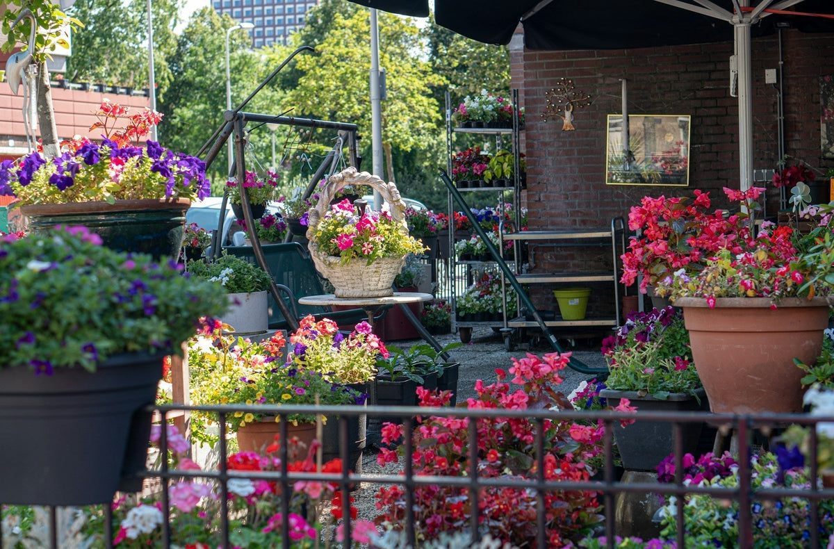 10 Sustainable Gardening Ideas for Small Spaces | EcoBlog