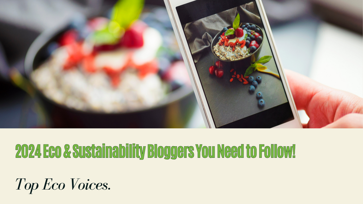 Best 5 Eco & Sustainability Bloggers of 2024 | Top Eco Voices | EcoBlog | 