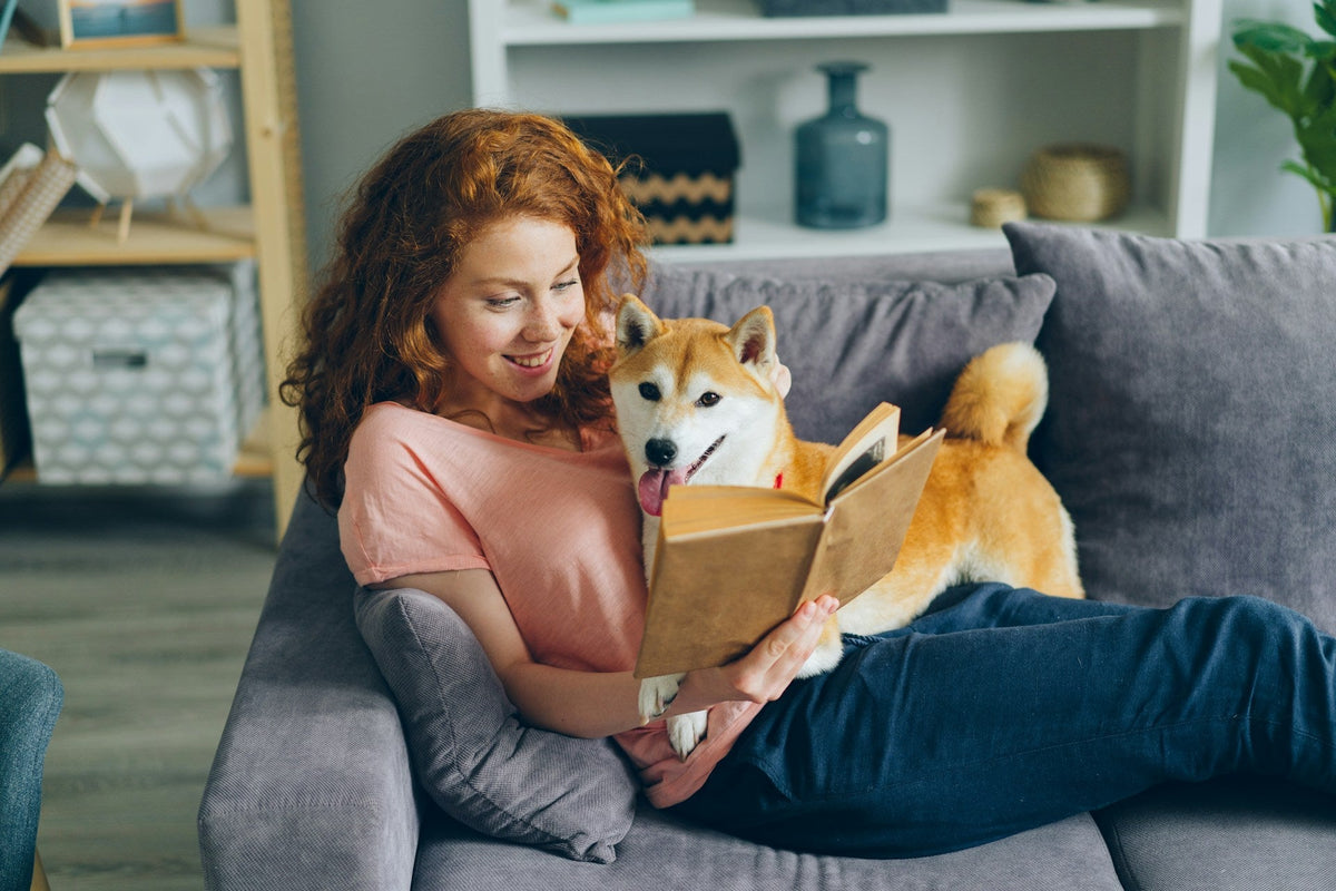 3 Reasons to Choose Natural Products for Your Pets | EcoBlog