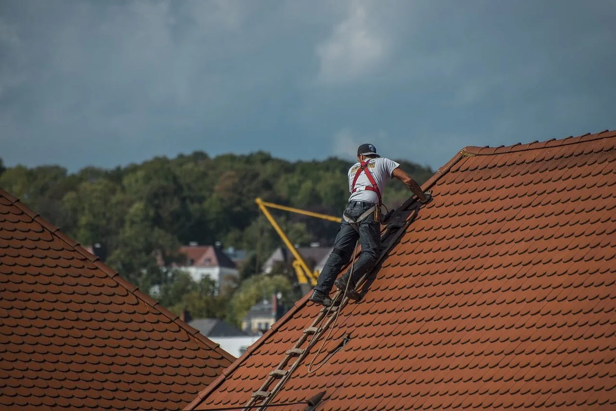 7 Key Sustainable Upgrades for Greening Your Roof | EcoBlog