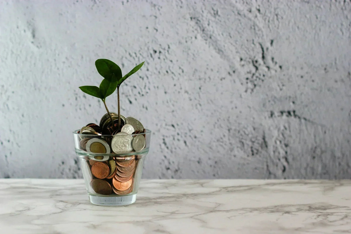 Sustainable Property Investment: Build Wealth Ethically | EcoBlog