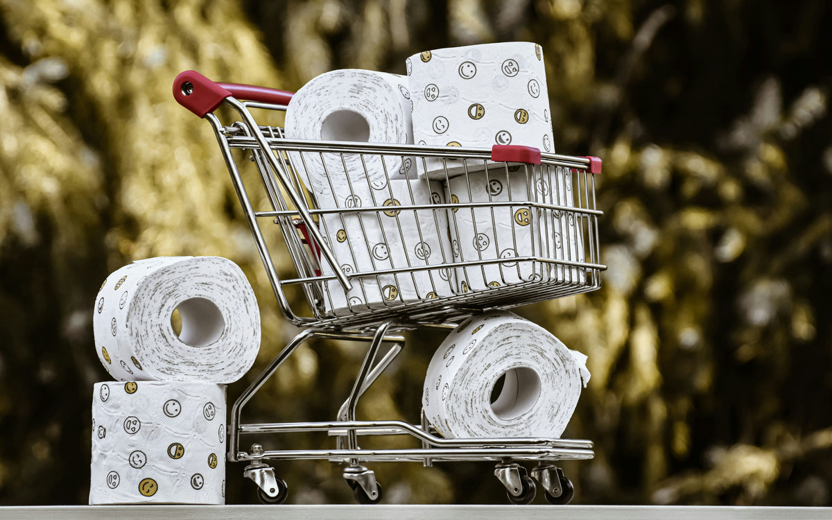 Customer Data Safety for Eco-Friendly Retailers