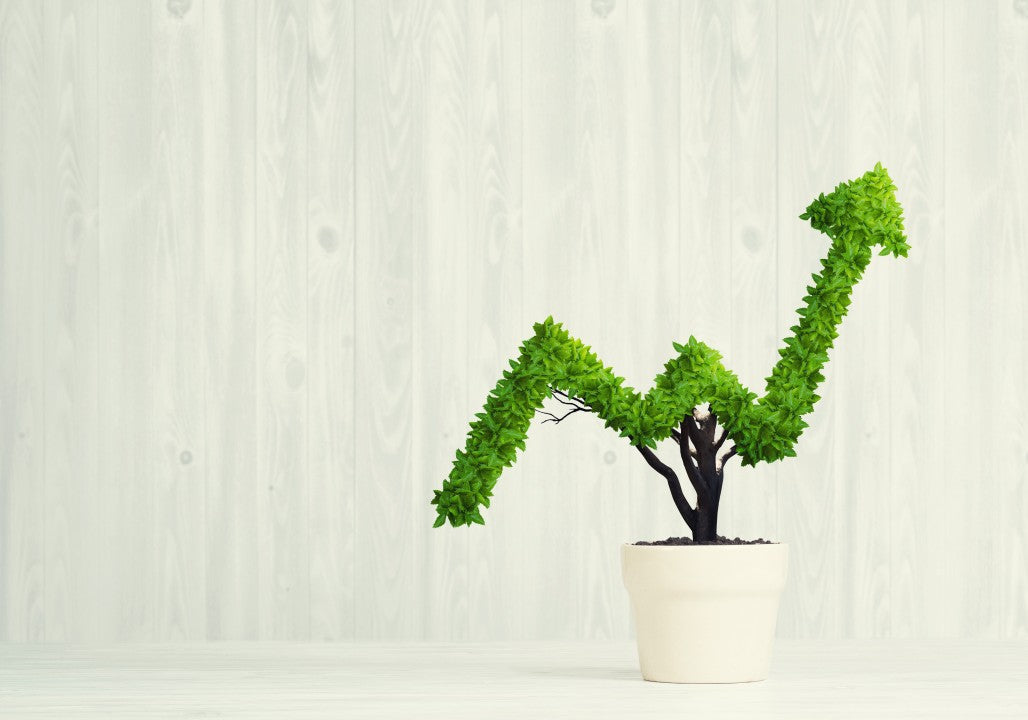 Eco Benefits: Hidden Perks of Switching from Boilers to Heat Pumps