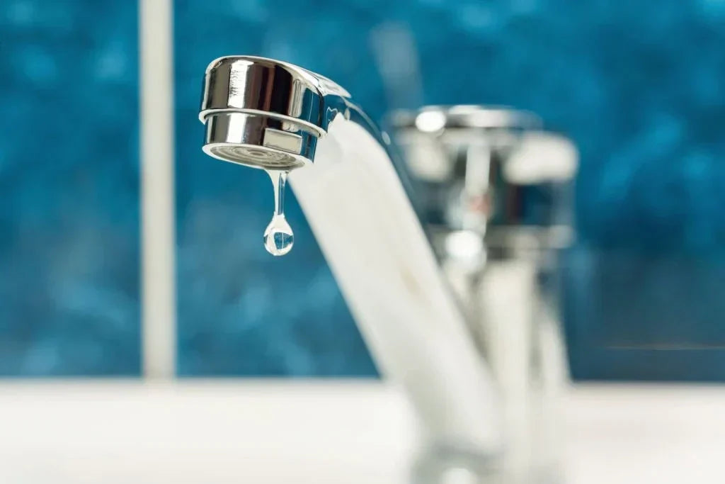 Save Water at Home: Simple Tips | EcoBlog