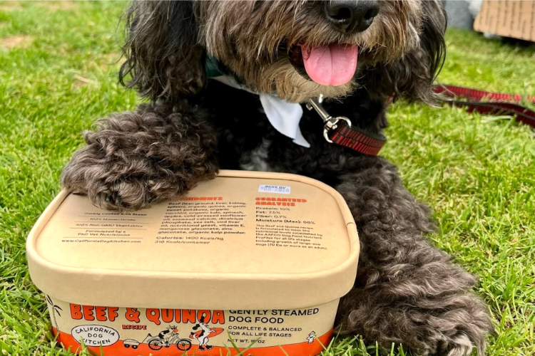 The Environmental Benefits of Fresh Dog Food