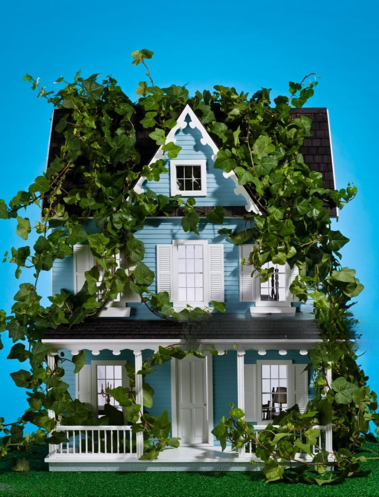 Eco-Friendly Ways to Make Your Home More Secure