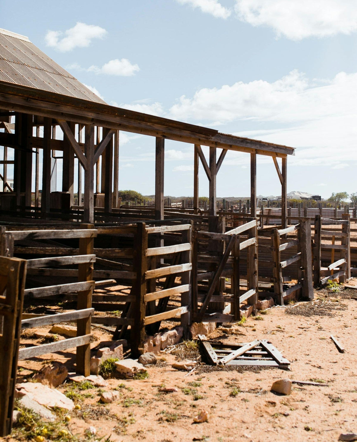 How to Build a Sustainable Eco-Friendly Shed from Scratch