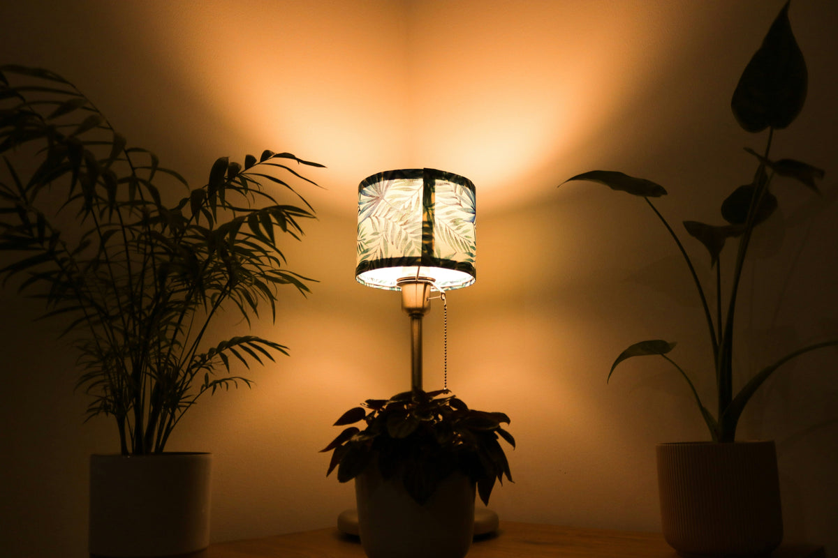 Set a Calming Glow at Home with Low-Energy Lights