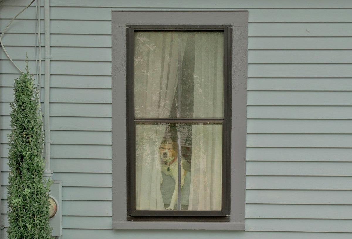 Sustainable Bendable Curtain Tracks for Bay Windows